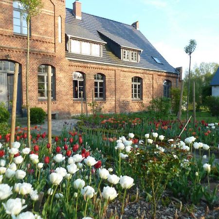Ferienwohnung Gutshaus Altbauhof Dargun Exterior foto